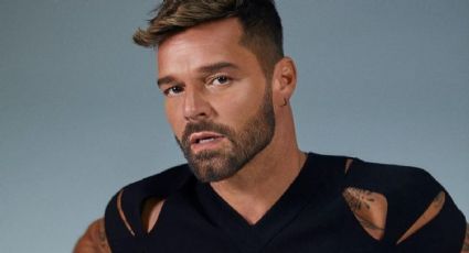 Carta a su favor: Ricky Martin sumó un imprevisto apoyo en la causa de su sobrino