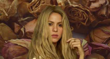 Shakira podría ir a prisión y este es el motivo