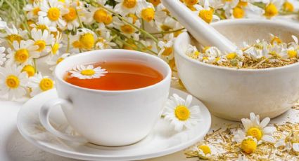 Los infalibles beneficios de tomar té de manzanilla antes de dormir