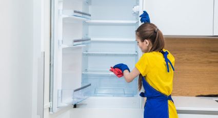 Este es el truco que te ayudará a eliminar el moho de tu refrigerador
