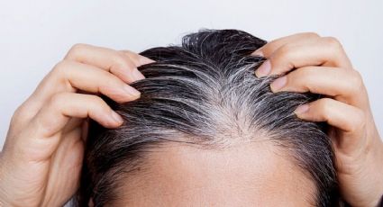 Despeja tu duda y descubre el color ideal para ocultar las canas