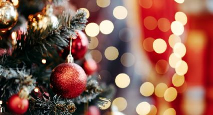 El sorprendente motivo por el que debes evitar esta decoración en tu árbol navideño