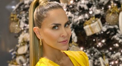 Aylín Mujica y su sincera opinión acerca del trato con el padre de su hija