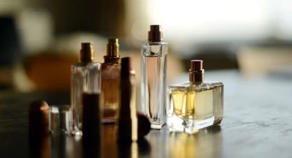 Los 5 perfumes y fragancias unisex, ideales para todos los días