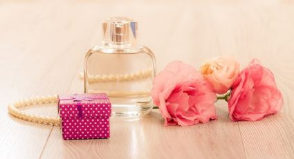 Pura sensualidad: los 10 perfumes y fragancias de mujer que enloquecen a los hombres