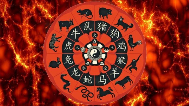 Horóscopo chino signo por signo: los consejos que necesitas para no perder dinero