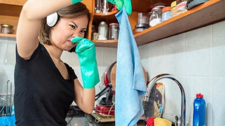 El truco casero para blanquear los trapos de la cocina y que queden como nuevos