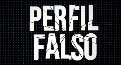 “Perfil Falso”: de qué se trata la serie que sigue en el top 5 de Netflix