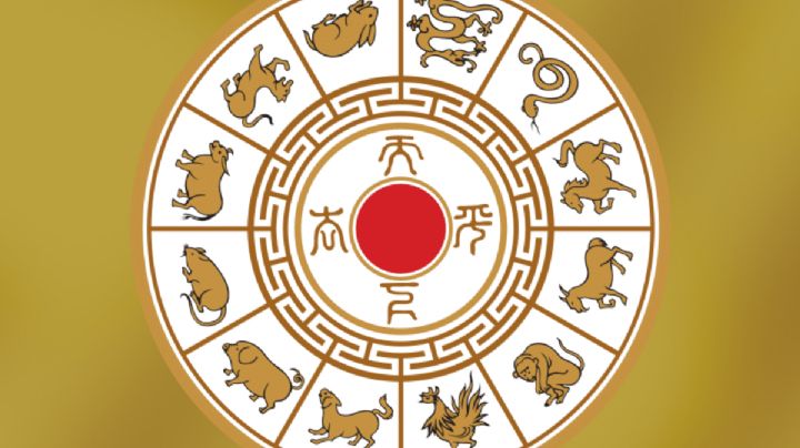 Horóscopo chino: los consejos ancestrales signo por signo para los próximos días