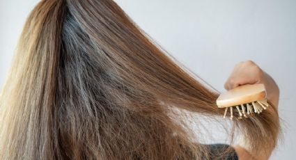 Elimina el frizz de tu cabello gracias a estos 3 milagrosos métodos caseros