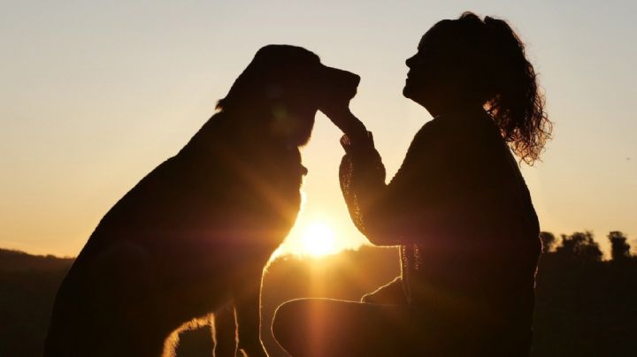 Horóscopo: este es el signo que más ama a los perros