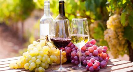 Descubre cuál es el vino saludable y los múltiples beneficios de su consumo