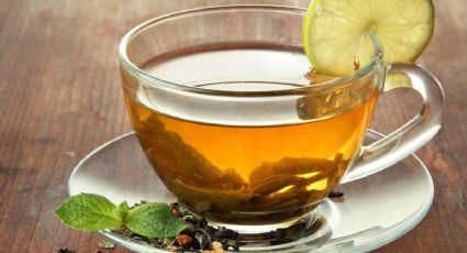 Conoce los secretos detrás del consumo del té de sasafrás