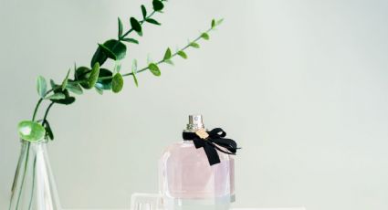 No lo botes: ideas para reciclar elegantemente frascos de perfume