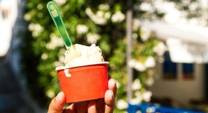 Reciclaje práctico: Cómo reutilizar envases de helado y ahorrar dinero