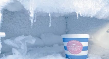 Descongelamiento express: tips para limpiar tu freezer en tiempo récord