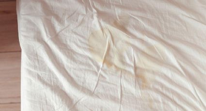 Higiene perfecta: cómo limpiar las sábanas para mantenerlas blancas
