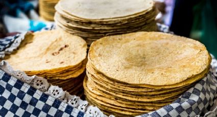 Aprende a hacer tortillas de maíz con esta receta paso a paso