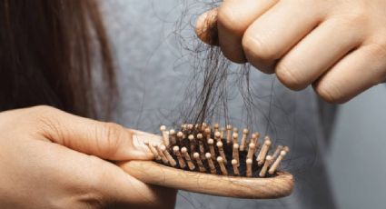 Densidad capilar: consejos de expertos para evitar la caída del cabello