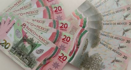 Numismática: por qué este billete de 20 pesos se vende por 42.000