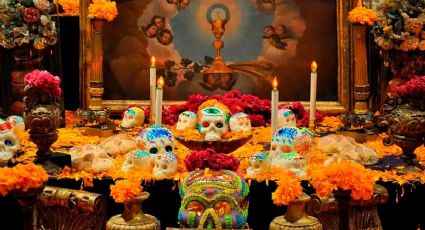 4 plantas con flores para decorar tu altar del Día de Muertos que no es la clásica cempasúchil