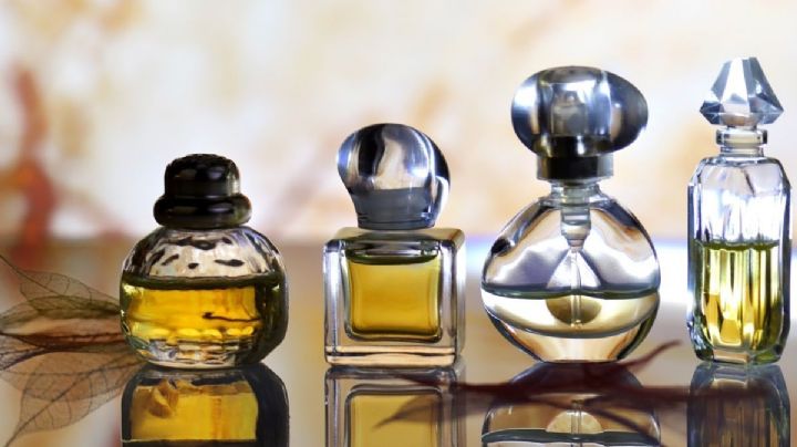 Recopilamos los 5 perfumes para los días en que quieras destilar elegancia 24 horas