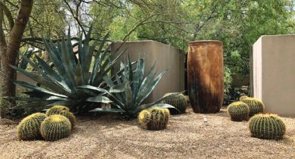 Jardín seco: la solución de los jardineros si se te secan las plantas. Además, tiene bellos diseños