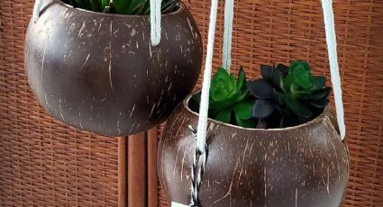 Reciclaje DIY: originales ideas para reutilizar las cáscaras de coco de forma creativa