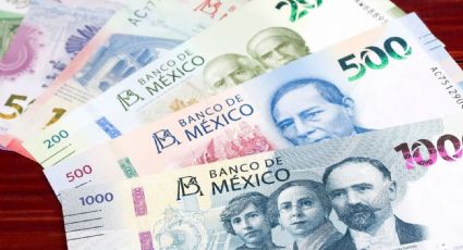 Descubre la colección de billetes de mil que alcanza un valor de 80 mil pesos