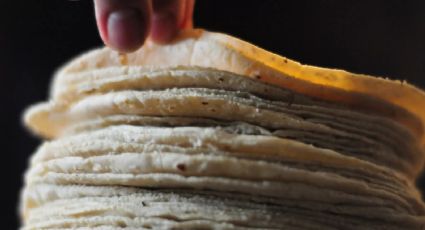 Cómo hacer masa para las tortillas de maíz: receta sencilla y deliciosa