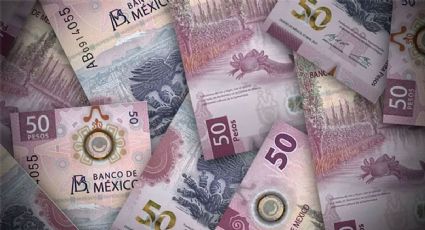 El futuro incierto de los billetes de 50 pesos del ajolote