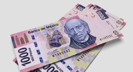 Cambios en la circulación: estos billetes se despedirán en 2024