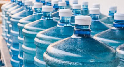 Transforma tus espacios verdes: 4 originales macetas con bidones de agua reciclados