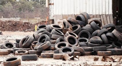 Reciclaje: 10 usos sorprendentes para neumáticos viejos y usados