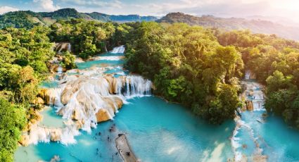 Destino para una aventura natural: las impresionantes cascadas de Agua Azul