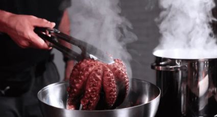 Recetas de cocina: aprende cómo cocer pulpo para un cóctel perfecto