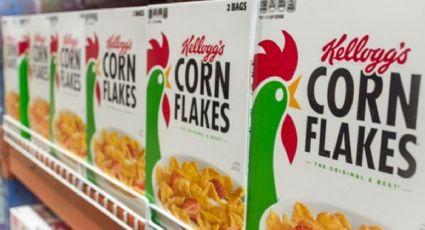 Cajas de cereales renovadas: inspiración para reciclar de forma original