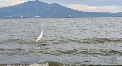 Destinos naturales: lagos y lagunas para visitar cerca de la Ciudad de México