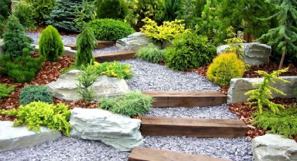 Cómo utilizar gravilla en tu jardín para crear caminos y embellecer tus plantas