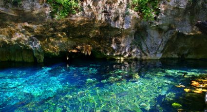 Explora las maravillas del Gran Cenote de Tulum: una aventura inolvidable