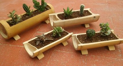 Macetas verdes: 5 inspiradoras ideas para reciclar bambú en la decoración de tu jardín