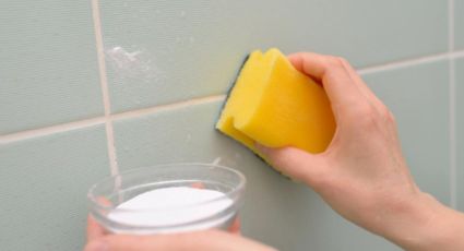 Guía completa para limpiar el moho en las paredes de forma definitiva