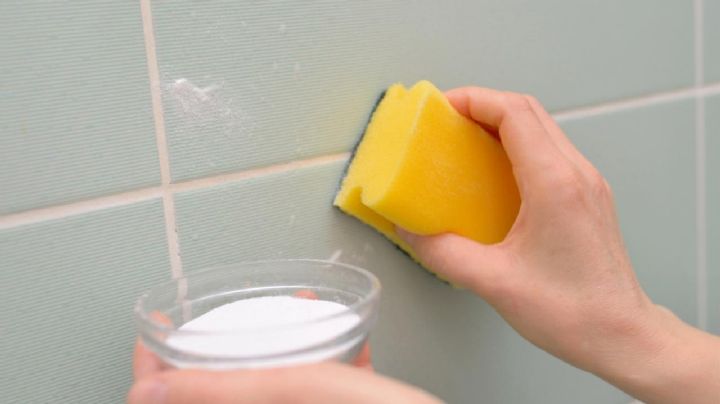 Guía completa para limpiar el moho en las paredes de forma definitiva