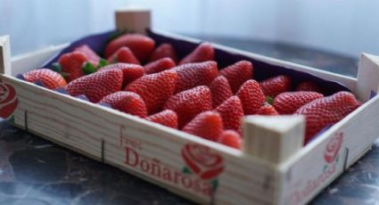 Cajas de frutas renovadas: DIY decorativo para reciclar y resolver problemas de almacenamiento