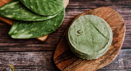 Paso a paso: receta para hacer tortillas de nopal fresco desde cero en casa