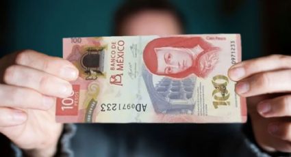 El error que vale una fortuna: el billete de 100 pesos por el que piden un millón de pesos