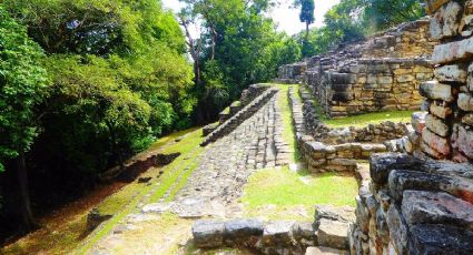 Sumérgete en la naturaleza: cinco destinos imperdibles para ecoturismo en México