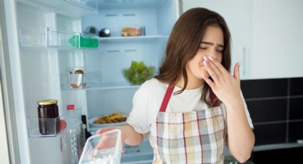 Desmitificando el olor a refrigerador: 7 trucos de limpieza efectivos para eliminarlo