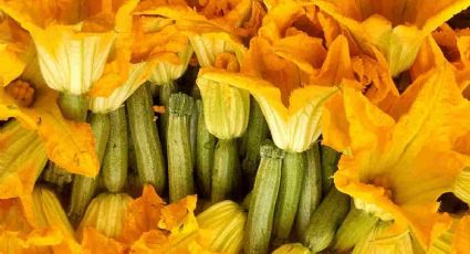 Sabor y tradición: flores de calabaza rellenas de queso, una receta que debes probar