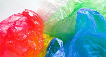 Recicla tus bolsas de plástico: ideas creativas y sostenibles